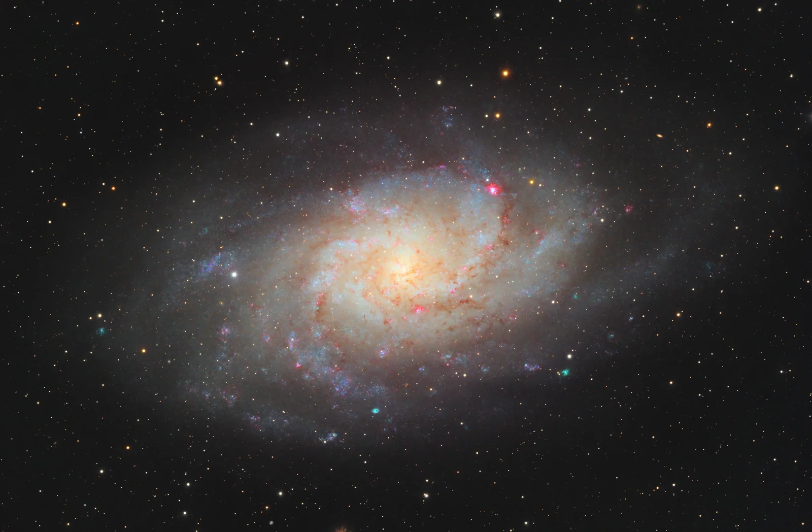 M33