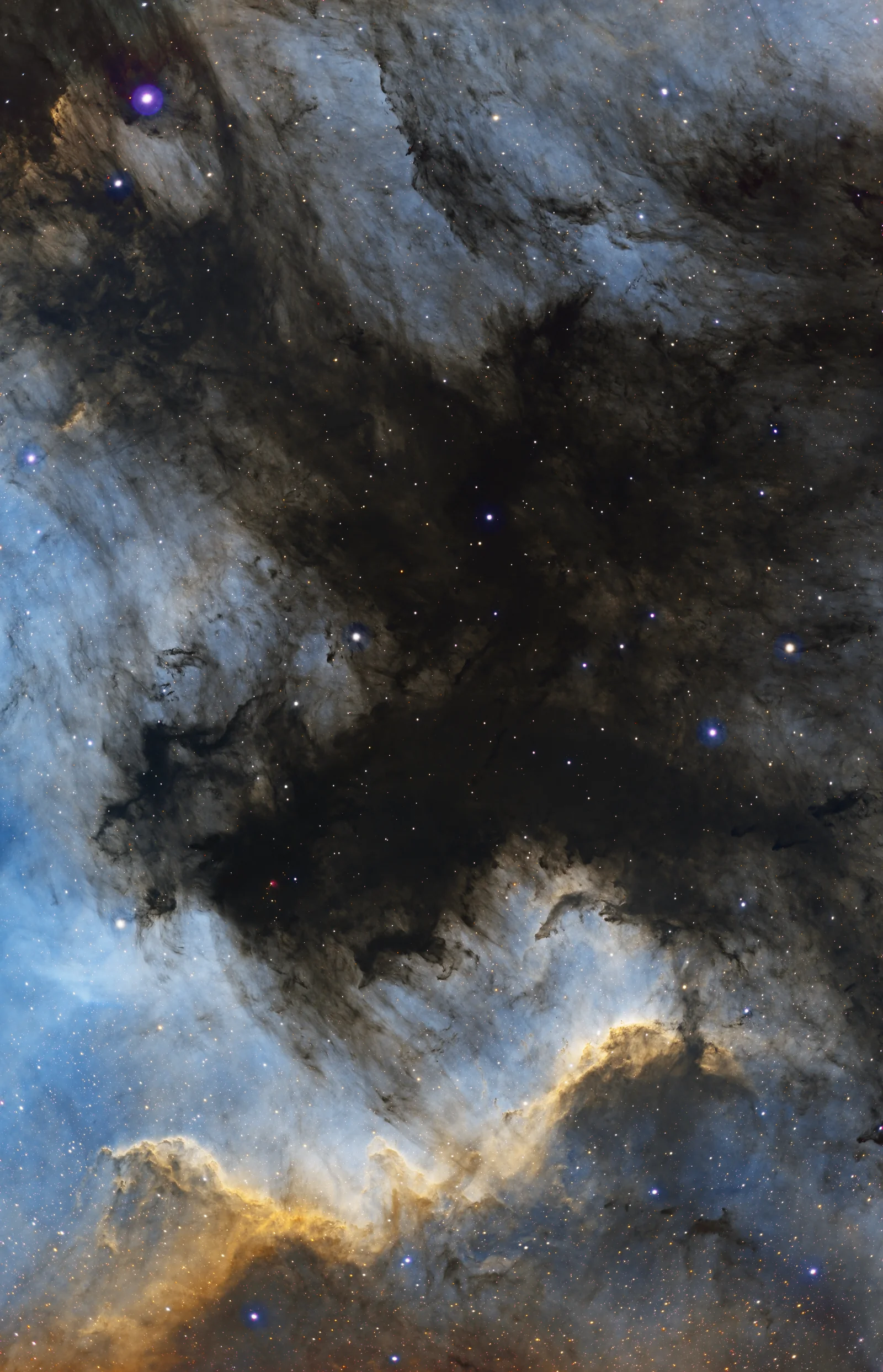 North America Nebula